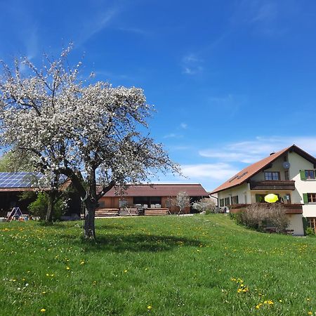 Appartement Bauer Haug à Dietmannsried Extérieur photo